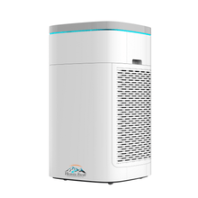 Load image into Gallery viewer, Air Purifier HF600 - Heavenfresh
