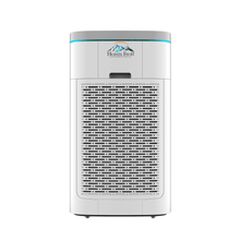 Load image into Gallery viewer, Air Purifier HF600 - Heavenfresh
